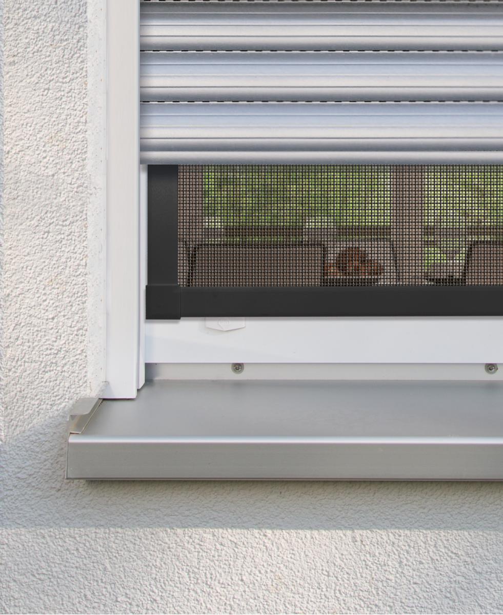 Fliegengitter Doppel-Flügelig: Insektenschutz für Fenster – Plisstek