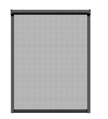Insektenschutz-Rollo für 160 Fenster, SCHELLENBERG anthrazit 100 cm, x 